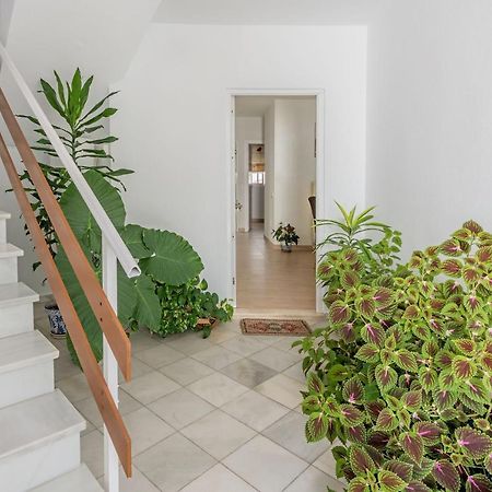 Apartamento Los Naranjos En Vejer Vejer de la Frontera Exteriör bild