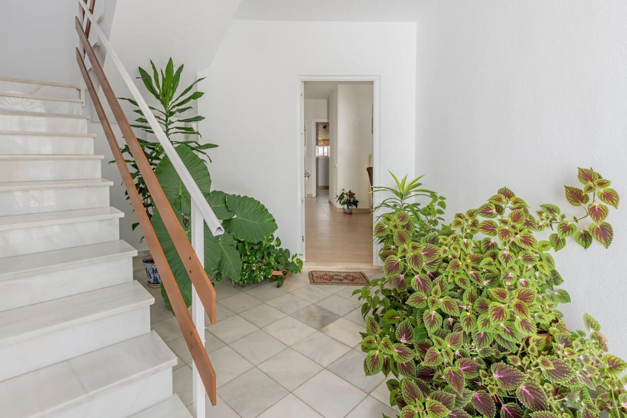 Apartamento Los Naranjos En Vejer Vejer de la Frontera Exteriör bild